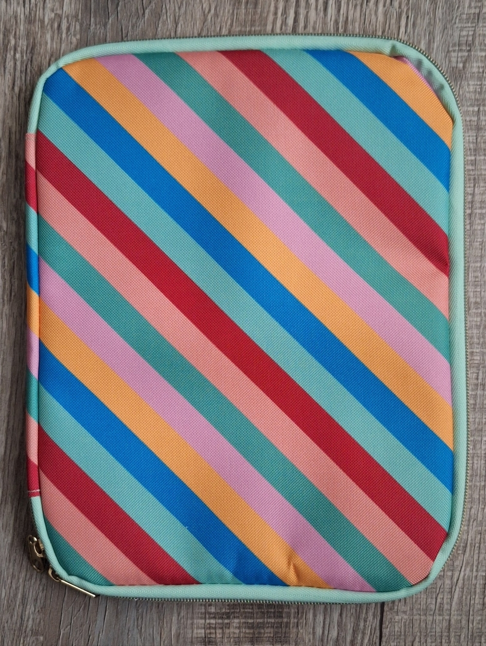 Rainbow Stripe Padded Zip Pouch